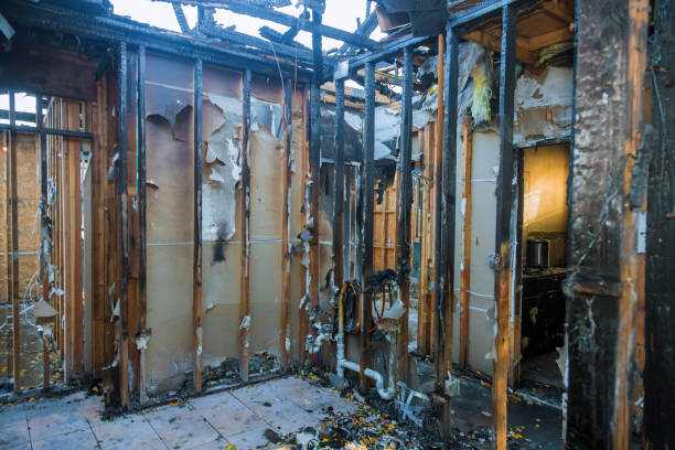 Professional Odor Removal technician working in Kingsville, TX