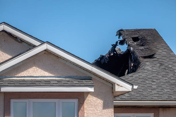 Top rated local Odor Removal specialists in Kingsville, TX